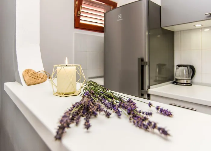 Vacation Uni بيت للعطل