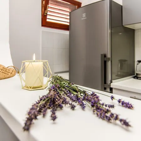 Vacation Uni 度假居